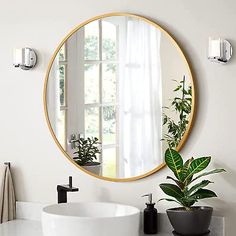 a bathroom with a sink, mirror and potted plant on the counter in front of it