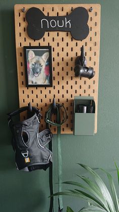 a dog's head hanging on a pegboard next to a potted plant