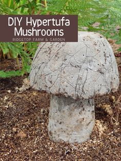 a stone mushroom sitting in the middle of a dirt field with text overlay that reads diy hypertufa mushrooms