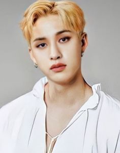 a young man with blonde hair wearing a white shirt and silver necklace, posing for the camera