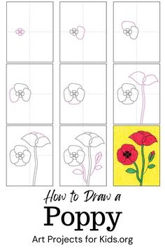 how to draw a poppy for kids with the title, how to draw a poppy