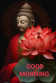 a buddha statue sitting next to a red flower with the words good morning on it