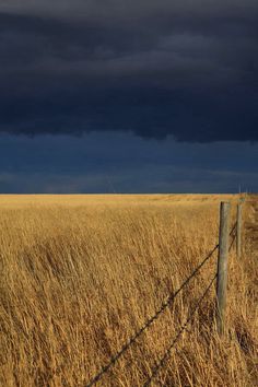 a field with tall grass and a fence in the foreground under a dark sky