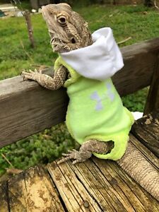 a small lizard sitting on top of a wooden fence next to a green shirt and white scarf