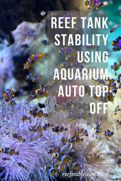 an underwater scene with the words reef tank stability using aquarium auto top off