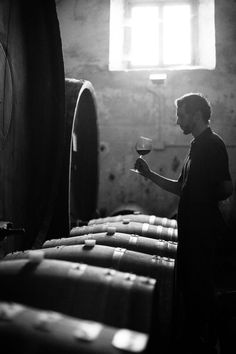 a man holding a glass of wine in front of some barrels with the light shining on them