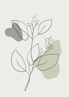 Neutral Botanical Prints, Posters On Wall Bedroom Free Printables, Aesthetic Pictures For Bedroom Wall, Picture Frame Prints, Sage Green White And Black Bedroom, Sage Wall Prints, Poster Sets Wall Art, Sage Green Wall Art Prints, Cute Wall Decor Bedroom Pictures