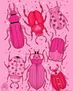 pink and red bugs on a pink background with polka dot dots in the middle, one is