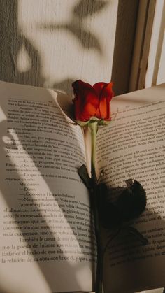 a red rose sitting on top of an open book next to a window sill