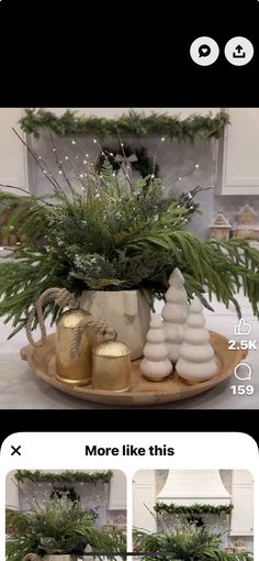 a potted plant sitting on top of a wooden tray filled with rocks and greenery