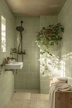 a bath room with a toilet a sink and a plant in the shower stall next to it