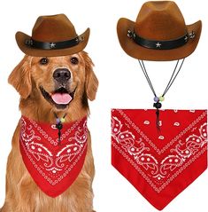 a dog wearing a cowboy hat and bandana next to a red bandanna with a brown dog