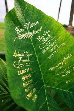 a close up of a large green leaf with names on it's back side