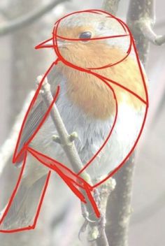 a bird sitting on top of a tree branch with red lines drawn across it's body