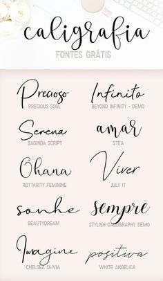 the different types of calligraphy that are used in this type of lettering, including curs