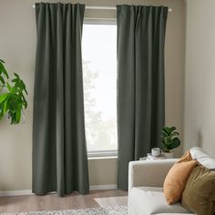 a living room with a couch, window and potted plant