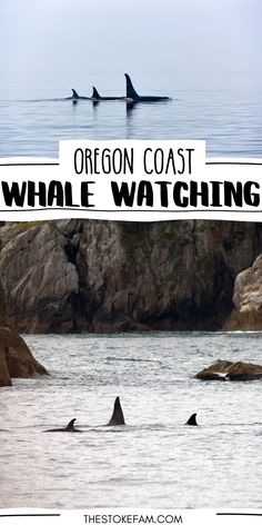 the oregon coast whale watching sign is in front of an ocean with dolphins and rocks