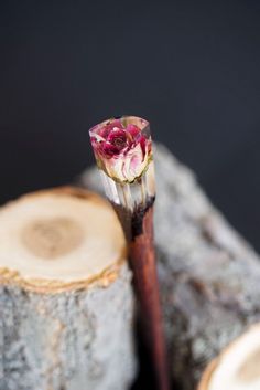 Hair Sticks with Rose, Personalized Hairpin, Terrarium Hair Fork, Custom Bun Holder, Wooden Resin Barrette, Chriatmas Gift for Women Standard length - 165 mm (6,1 inches) We make hair sticks of any size! Materials: brown oak wood, jewelry resin, rose. Natural wood hair forks are a great gift for women and girls! We make hair forks of any size! We use various types of natural wood and jewelry epoxy. Resin color, hair fork size, wood, hair fork configuration - you can choose to your taste :) We are also making earrings, rings and a pendant. We create sets (ring + earrings + pendant) in one style. Nowadays it is difficult to surprise with a gift, but such a hair fork can catch anyone with its beauty, creativity and originality. Such a gift will appeal to everyone! You can make such a gift, bo Resin Wood Hair Stick, Hair Forks, Resin Rose, Bun Holder, Hair Fork, Jewelry Resin, Star Hair, Great Gifts For Women, Rose Gift