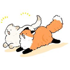 an orange and white cat laying on its back next to a small white animal with it's mouth open