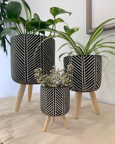 three black and white planters on wooden legs with plants in the middle one is holding flowers