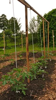 the garden is ready to be planted and put into the ground with ropes on it