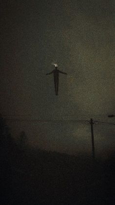 an airplane is flying in the dark sky above power lines and telephone poles at night