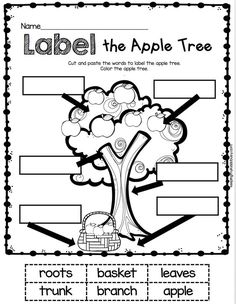 an apple tree worksheet for kids