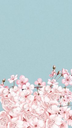 pink flowers against a blue sky background