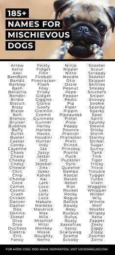 a poster with the names of dogs on it