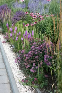 a garden filled with lots of purple flowers and plants next to a sidewalk in front of a building