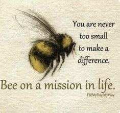 a bee on a mission in life quote