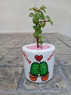 a small potted plant sitting on top of a stone floor