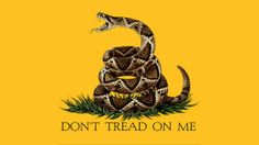 a don't tread on me snake with the words don't tread on me