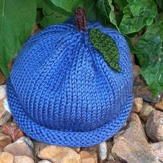 a blue knitted pumpkin hat sitting on top of some rocks and leaves in the background