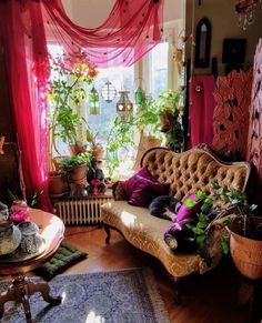 a living room filled with furniture and lots of plants on the windows sills