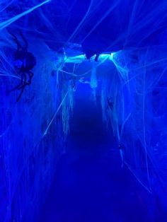 the inside of an ice cave with spider webs hanging from it's sides