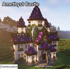 an image of a castle in the middle of a field with text overlay that reads amethyst castle