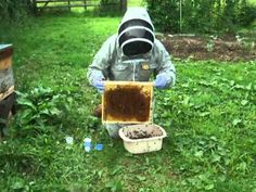 a beekeeper squatting down in front of a box full of honeybees