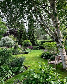 a wooden bench sitting in the middle of a lush green park filled with lots of trees