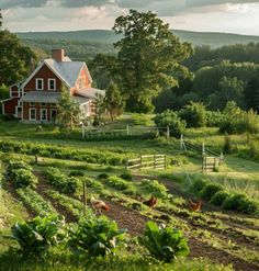 a farm house surrounded by lush green fields and trees in the distance, with chickens on the grass