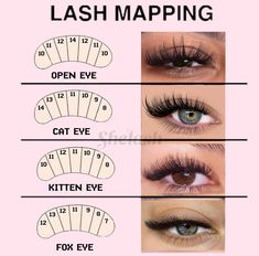 Credit: @shelashofficial on Instagram. Discover the ultimate guide to lash extension mapping with detailed images showcasing various styles. Perfect for lash artists and beauty enthusiasts looking to enhance their skills and create stunning lash looks!! Pink background, lash extensions, lash mapping, open eye, cat eye, kitten eye, fox eye, blue eyes, hazel eyes, brown eyes. #lashextensions #beautyhack #lashmap #lashtech #lashtips #lashesfordays #lashes #beautytrend Lash Map Fox Eye, Extension Eyelashes Styles, Fox Eyelash Extension Map, Fox Eye Eyelash Extensions Mapping, Open Lash Extensions, Cat Eye Eyelash Extensions Map, Foxy Eyelash Extensions Map, Different Lash Mapping Styles, Lash Map For Cat Eye