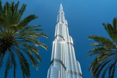 the tallest building in the world is surrounded by palm trees