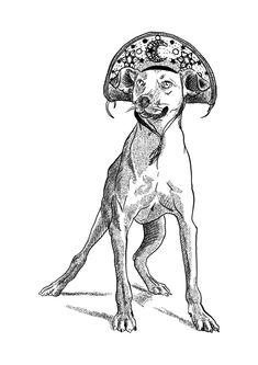 a black and white drawing of a dog with a hat on it's head