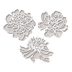 three white flowers are shown in the shape of cutout shapes on a white background