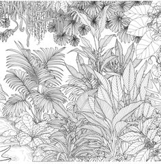 a black and white drawing of plants in the forest with lots of leaves on them