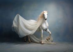 a white horse with long hair and flowing fabric on its back is standing in front of a blue background