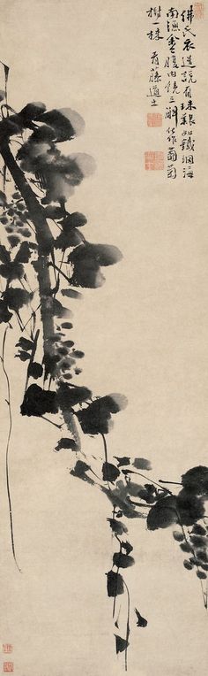 明代 - 徐渭 (Xu Wei,1521-1593)            Ming Dynasty Chinese Artwork, Sumi E Painting, Ink Wash Painting, Japanese Drawings, Asian Painting, Eastern Art, China Painting, China Art, Japanese Painting