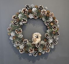 a wreath with pine cones and an owl sitting on the front, surrounded by pine cones