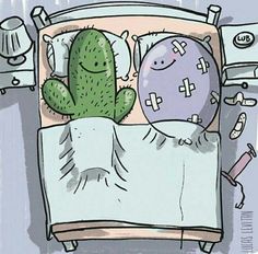 a green cactus is sleeping in a bed