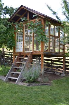 a small wooden house sitting on top of a lush green field next to a tree